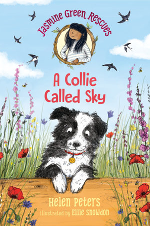 Jasmine Green Rescues: A Collie Called Sky by Helen Peters