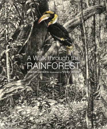 A Walk Through the Rain Forest by Martin Jenkins