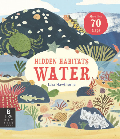 Hidden Habitats: Water by Lily Murray