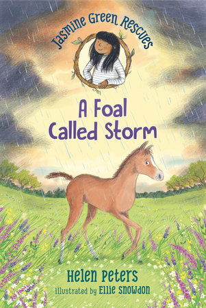 Jasmine Green Rescues: A Foal Called Storm by Helen Peters