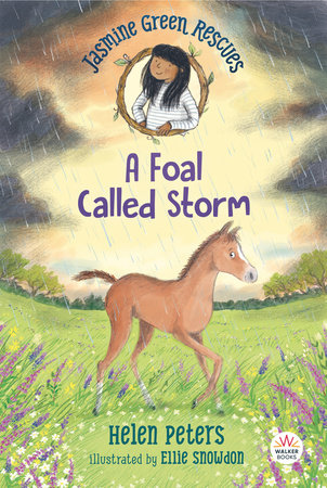 Jasmine Green Rescues: A Foal Called Storm by Helen Peters