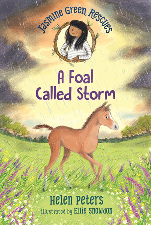 Jasmine Green Rescues: A Foal Called Storm by Helen Peters