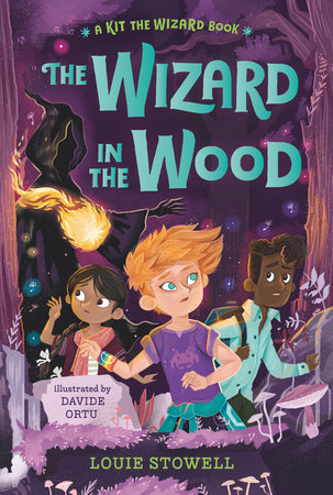 The Wizard in the Wood by Louie Stowell