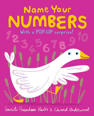 Name Your Numbers by Smriti Prasadam-Halls