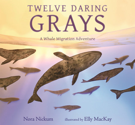 Twelve Daring Grays: A Whale Migration Adventure by Nora Nickum