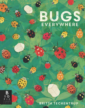 Bugs Everywhere by Lily Murray; illustrated by Britta Teckentrup
