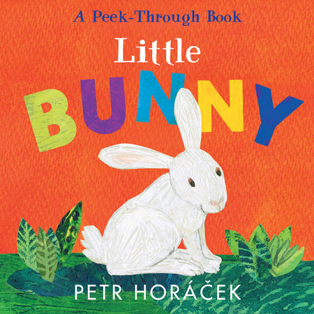 Little Bunny by Petr Horacek