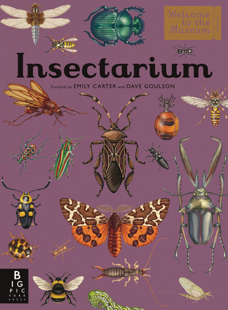 Insectarium by Dave Goulson