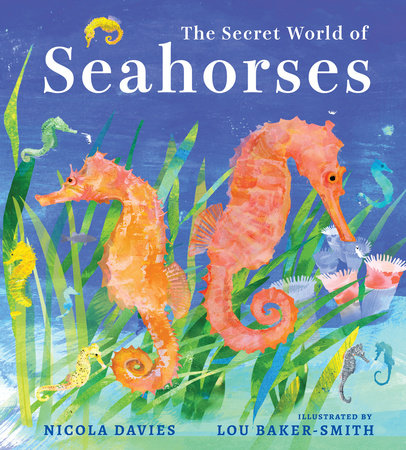 The Secret World of Seahorses by Nicola Davies