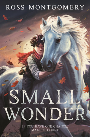 Small Wonder by Ross Montgomery