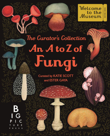 The Curator's Collection: An A to Z of Fungi by Gaya Ester
