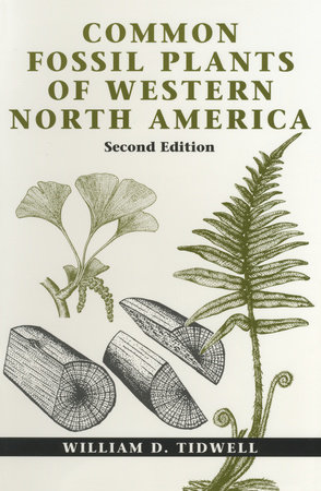Common Fossil Plants of Western North America, Second Edition by William D. Tidwell