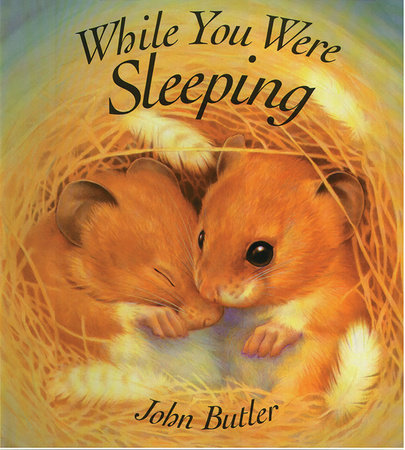 While You Were Sleeping by John Butler