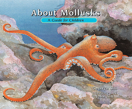 About Mollusks by Cathryn Sill
