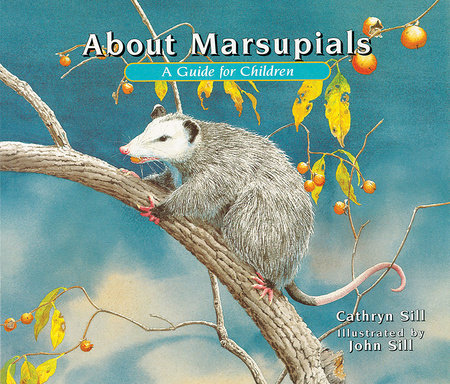 About Marsupials by Cathryn Sill