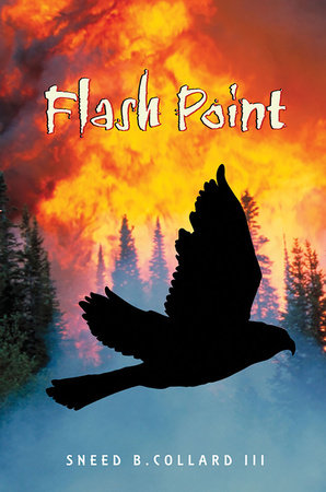 Flash Point by Sneed B. Collard III