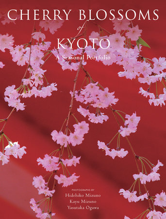 Cherry Blossoms of Kyoto by 