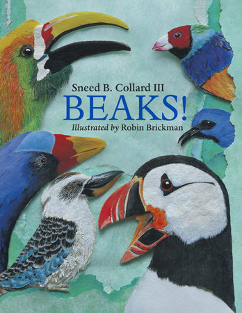 Beaks! by Sneed B. Collard III