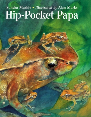 Hip-Pocket Papa by Sandra Markle