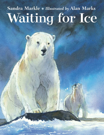 Waiting for Ice by Sandra Markle