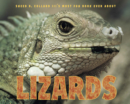 Sneed B. Collard III's Most Fun Book Ever About Lizards by Sneed B. Collard III