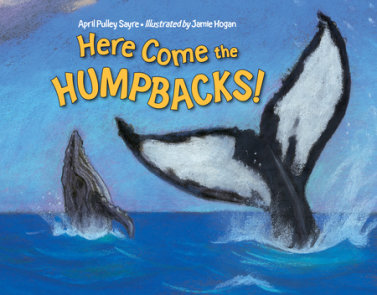 Here Come the Humpbacks!