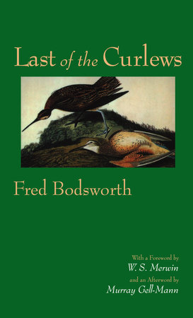 Last of the Curlews by Fred Bodsworth