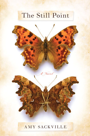 The Still Point by Amy Sackville