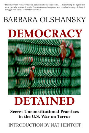 Democracy Detained by Barbara Olshansky