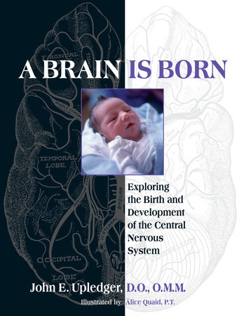 A Brain Is Born by John E. Upledger