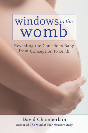 Windows to the Womb by David Chamberlain