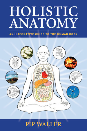 Holistic Anatomy by Pip Waller