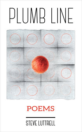 Plumb Line by Steve Luttrell