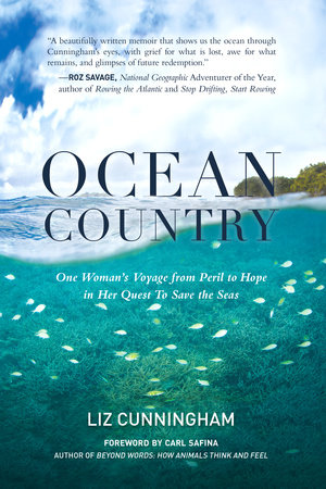 Ocean Country by Liz Cunningham