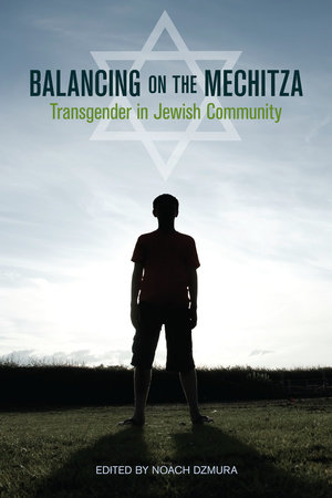 Balancing on the Mechitza: 9781556438134