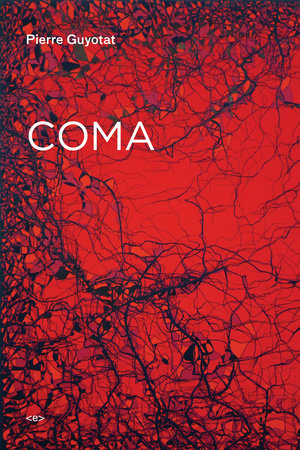 Coma by Pierre Guyotat
