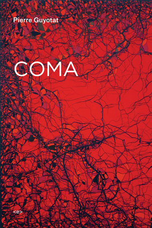 Coma by Pierre Guyotat