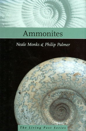 Ammonites by Neale Monks and Philip Palmer
