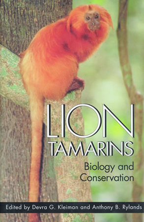 Lion Tamarins by Devra G. Kleiman and Anthony B. Rylands