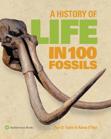 A History of Life in 100 Fossils by Paul D. Taylor and Aaron O'Dea