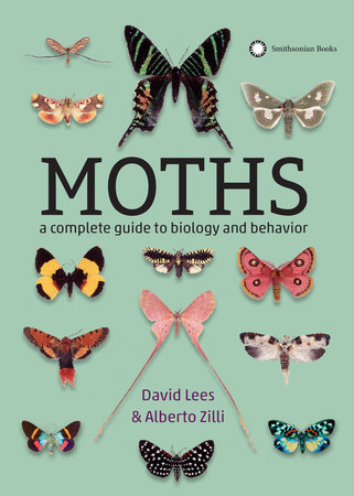 Moths by Lees, David and Alberto Zilli