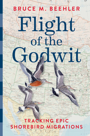 Flight of the Godwit by Bruce M. Beehler