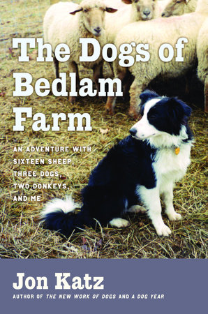 The Dogs of Bedlam Farm by Jon Katz