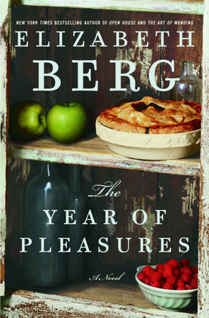 The Year of Pleasures by Elizabeth Berg