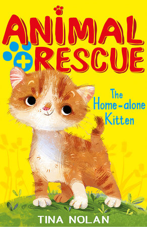 The Home-alone Kitten