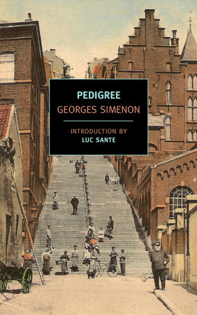Pedigree by Georges Simenon