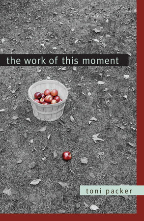 The Work of This Moment by Toni Packer