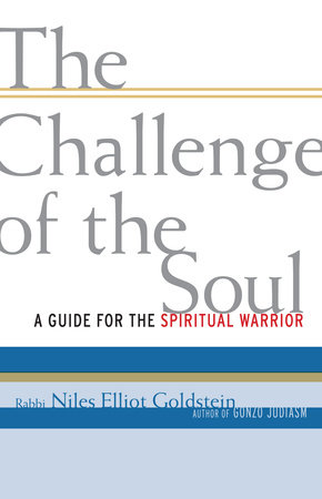 The Challenge of the Soul by Rabbi Niles Elliot Goldstein