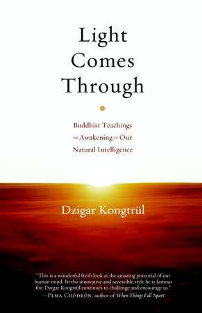 Light Comes Through by Dzigar Kongtrul