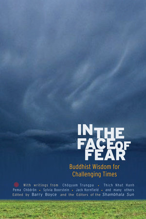 In the Face of Fear by 